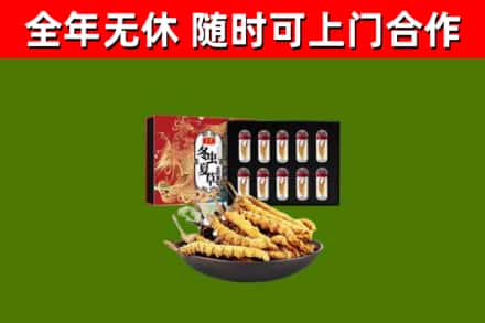 嵊泗烟酒回收冬虫夏草礼盒.jpg